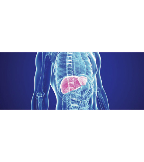 Buy Master Gastro Liver Screening (MGL)  Online 
