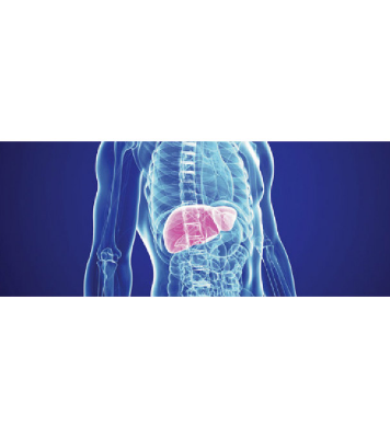Buy Master Gastro Liver Screening (MGL)  Online 