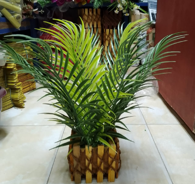 Picture of Artificial Plastic Plant Tree -With Vase