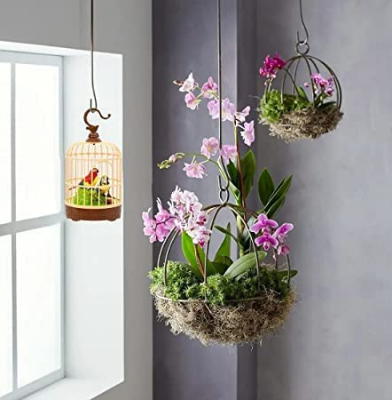 Picture of Beautiful Bird Toys