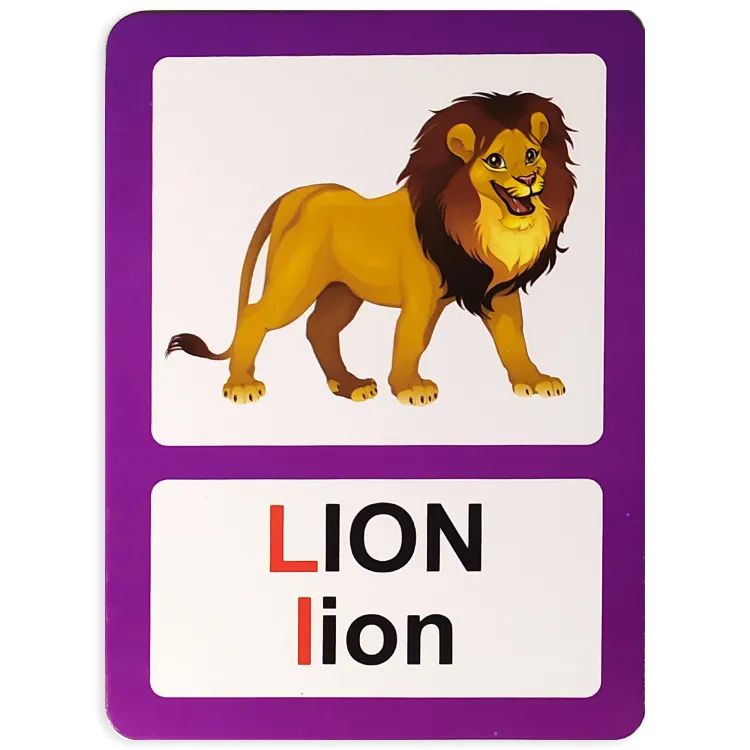 Picture of Alphabet Flash Cards