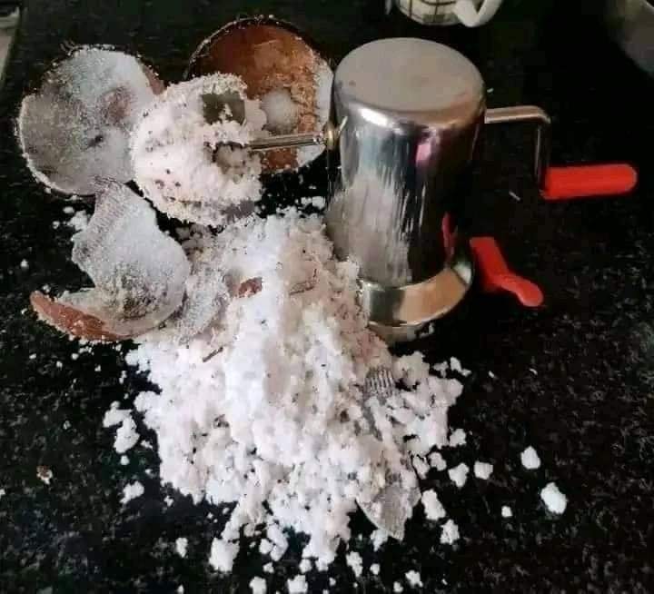 Buy Stainless Steel Coconut Scraper Grater at Best Price In Bangladesh