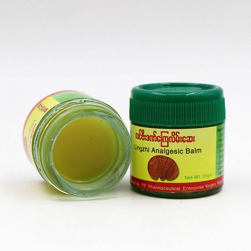 Buy Lingzhi Analgesic Balm 30g at Best Price In Bangladesh