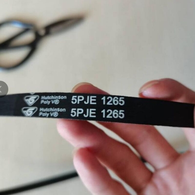 Picture of Washing Machine  Drive-Belt  5JPE 1265 Zylinderförmiges Frame.