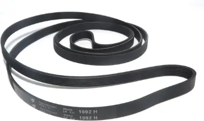 Picture of Washing Machine Belt, Washing Machine  Drive-Belt 8PH 1992