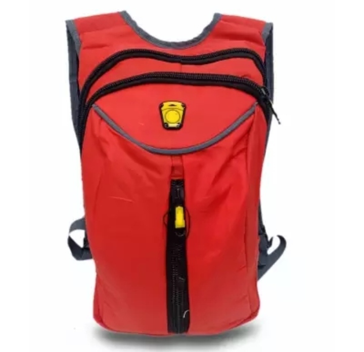 Picture of Exclusive Backpacks for man