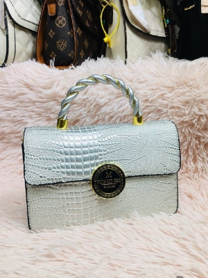 Picture of Most Beauutiful Hand Bag For Girls and Women 