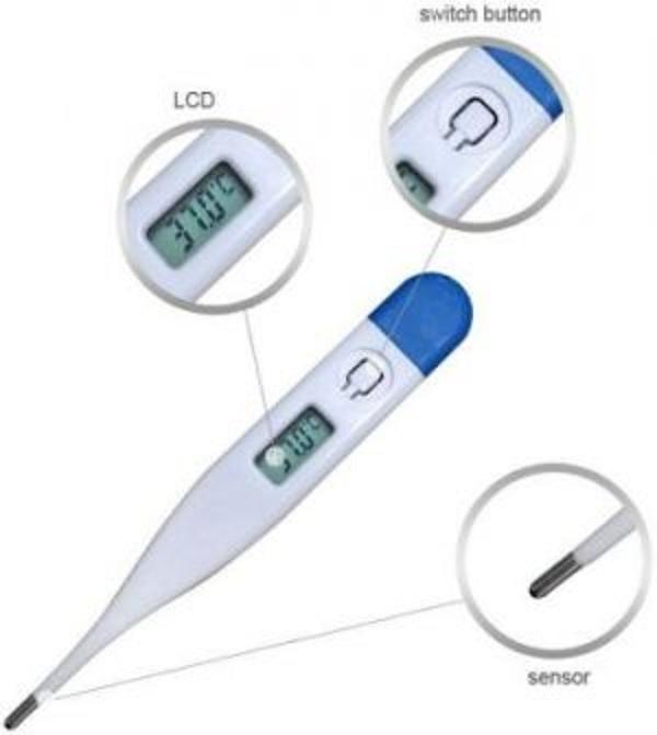 Picture of Clinical Digital Thermometer