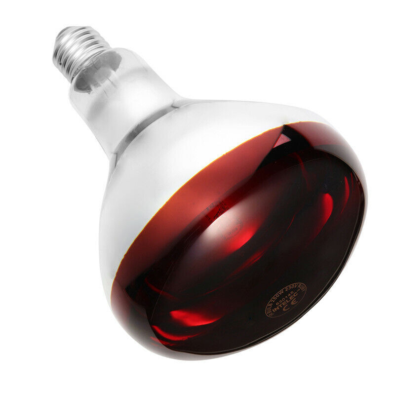 Picture of Philips Infrared Lamp BULB-230W