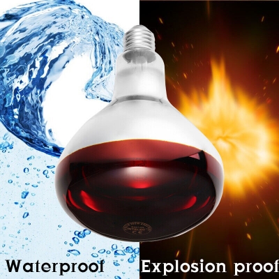 Picture of Philips Infrared Lamp BULB-230W