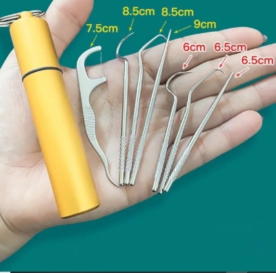Picture of 1 Set Toothpick Set Metal Stainless Steel Oral Cleaning Tooth Flossing Portable Toothpick Floss Teeth Cleaner with Storage Tube