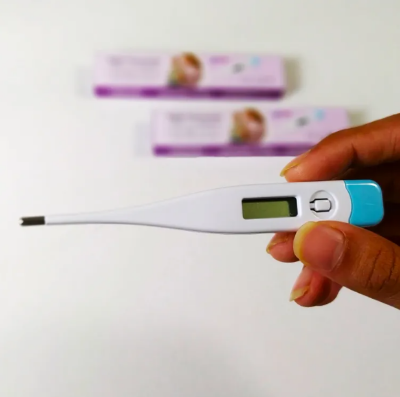 Picture of Digital Thermometer for Measuring Fever in Human Body