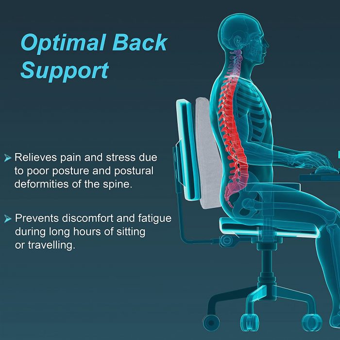 Picture of Tynor Back Rest Full(Chair/Seat Support, Back Pain)-Universal Size