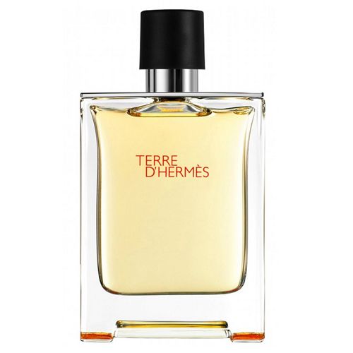 Buy Hermes Terre D’Hermes EDT For Men 100ml at Best Price In Bangladesh