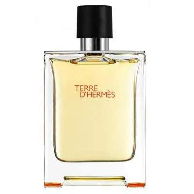 Buy Hermes Terre D’Hermes EDT For Men 100ml at Best Price In Bangladesh
