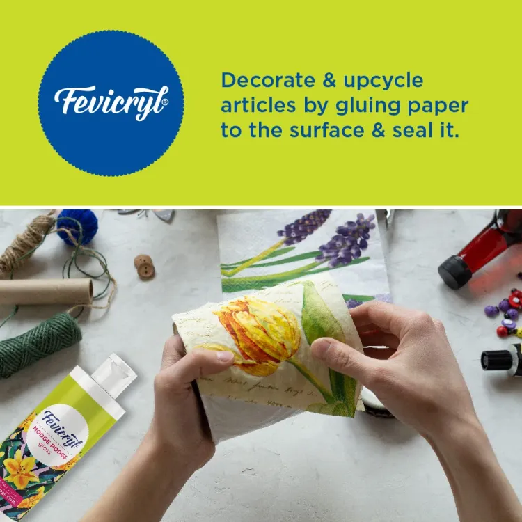 Picture of Fevicryl Moz Pose Gloss (Assorted Colors, 120 ml each)