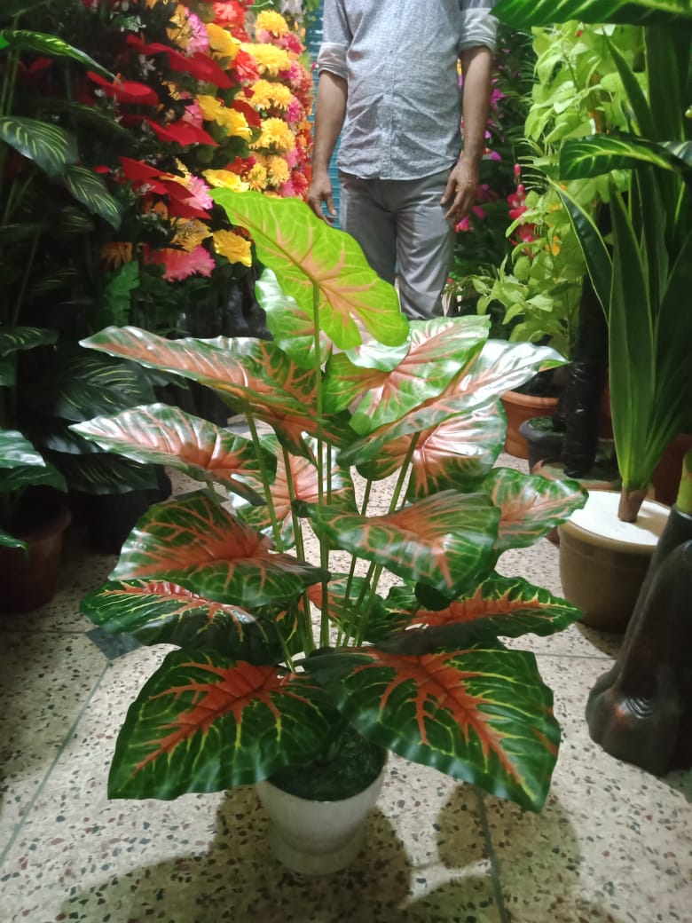 Picture of Artificial Plastic Plant Tree - 3 - Home Decoration Item - Home Decoration Item