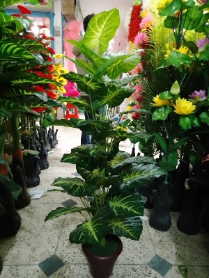 Picture of Artificial Plastic Plant Tree  -