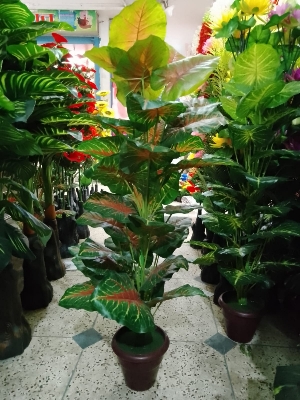 Picture of Artificial Plastic Plant Tree  - - Home Decoration Item