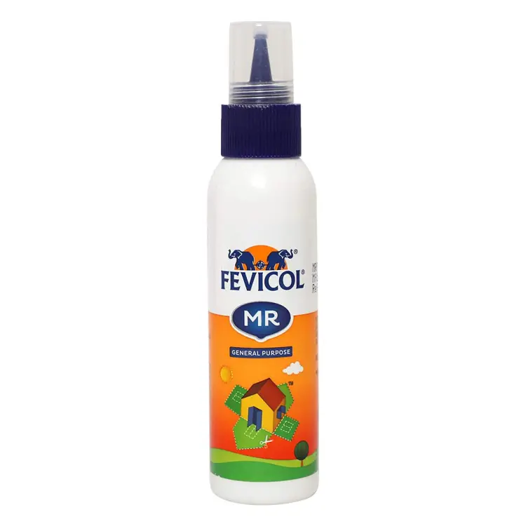 Picture of Fevicol MR White Glue For Art & Craft, 100g