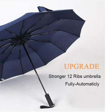 Picture of BMW Umbrella 12 shik auto open & close Umbrella 
