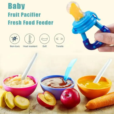 Buy BABY FRUIT PACIFIER Fresh Food Feeder Teether Chosni Teat Pacifier Bottles  Online in Bangladesh