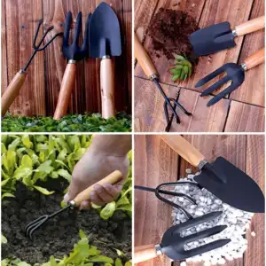 Picture of বাগানের সরঞ্জাম সেট বড় 10 ইঞ্চি-1 সেটে 3 পিস