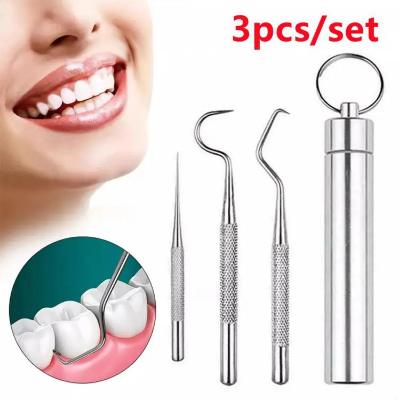Buy 3Pcs/set Portable Toothpicks Stainless Steel Tooth Pick Sticks Pocket Toothpick with Holder for Teeth Cleaning & Teeth Care at Best Price In Bangladesh