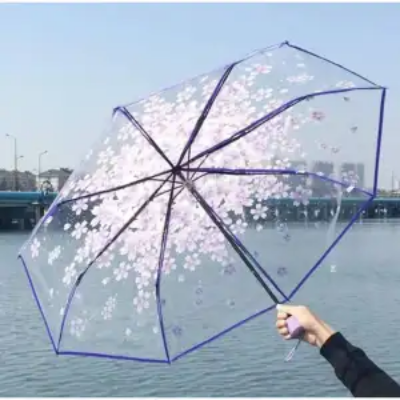 Picture of Transparent Flower Design Folding Women Fashion Umbrella