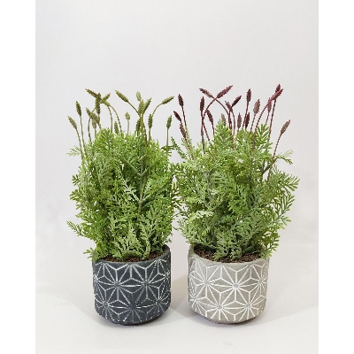 Picture of 1PCS Star Design Cement Pot with Artificial Plant Arrangemnt