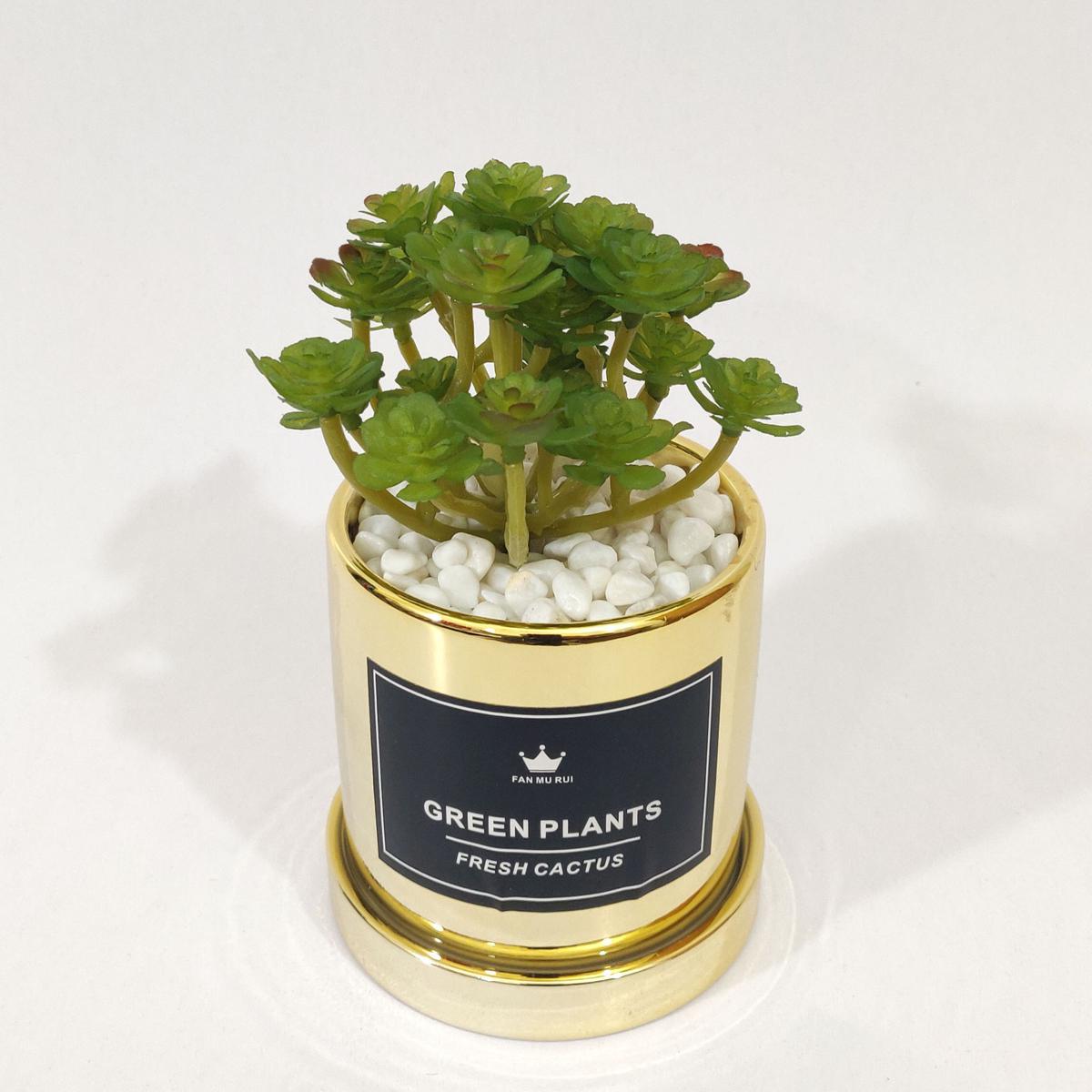 Picture of Artificial Succulent Arrangement with Ceramic Type Pot