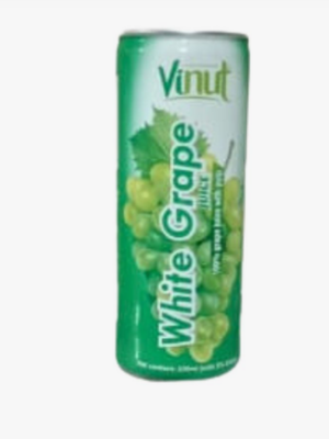 Picture of Vinut apple  juice 230ml