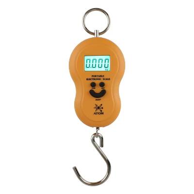 Buy  Electronic Digital Hanging Stainless Steel Hook Luggage Portable Scale with LCD Display for Industrial Fishing Factory Use Capacity 50Kg  at Best Price In Bangladesh