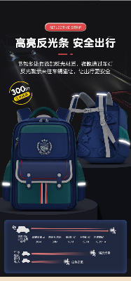 Buy Children premium School Bag   at Best Price In Bangladesh