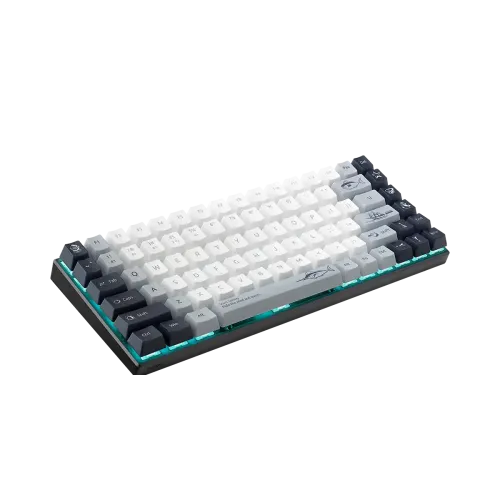 Buy Rapoo MT510PRO Multi-Mode Backlit Mechanical Keyboard Full 84-key programmable  at Best Price In Bangladesh