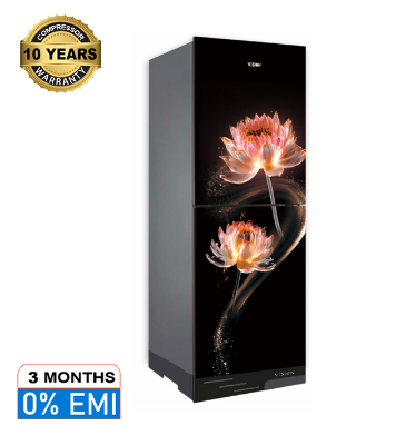 Picture of VISION Glass Door Refrigerator RE-196 Liter Fireworks Lily Flower Bottom Mount