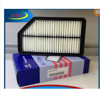 Buy Air Filter 28113-1R100  at Best Price In Bangladesh