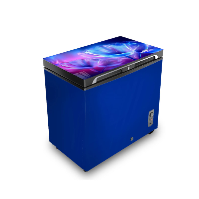 Buy VISION Glass Door Chest Freezer RE-112 Liter Blue Eustoma Flower at Best Price in Bangladesh