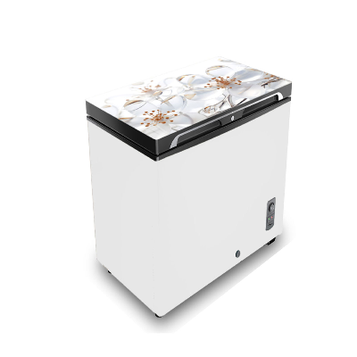Buy VISION Glass Door Chest Freezer RE-112 Liter White Ice Flower at Best Price in Bangladesh