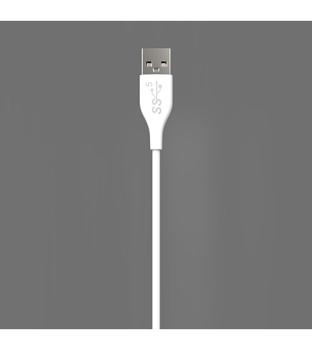 Picture of Bizli USB Cable Type-B 3A