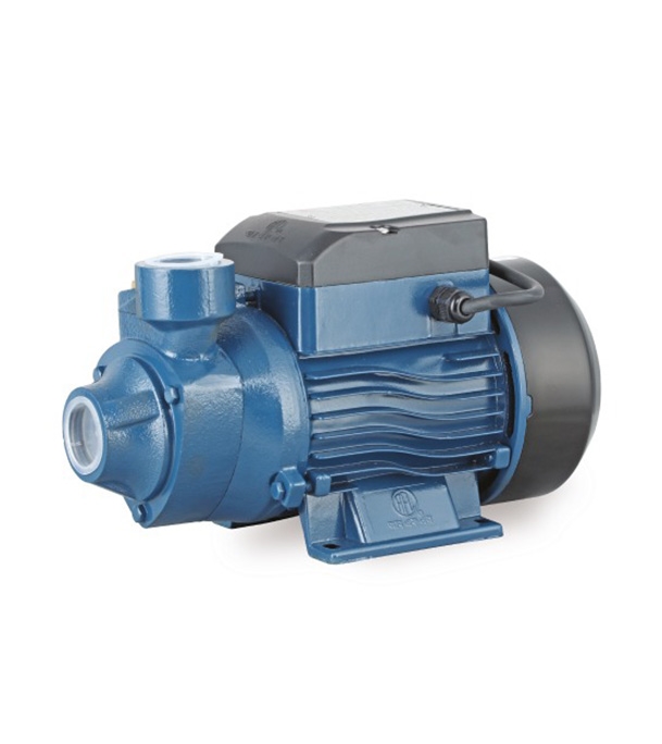 Buy RFL Water Pump Pripheral 1"X1"-0.5HP(RPm60-1) At BEst Price In Bangladesh