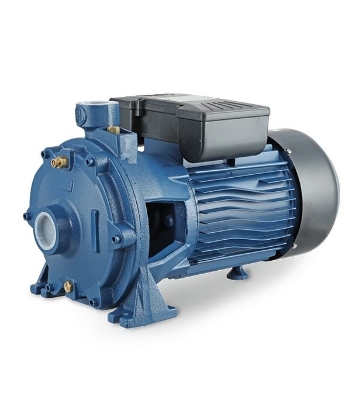 Picture of RFL Water Pump Multistage Centrifugal 1(1/2)"X1.25"-2HP-1~ (2XCm25/160B) 