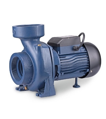 Picture of RFL (Irr)2"X2"-1HP (RAHm-5B) Irrigation Centrifugal Domestic Water Pump 