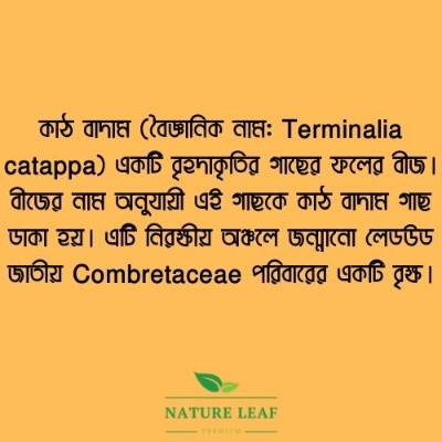 Picture of Nature Leaf - Almond Nuts Whole - 200gm Jar (Kath Badam)