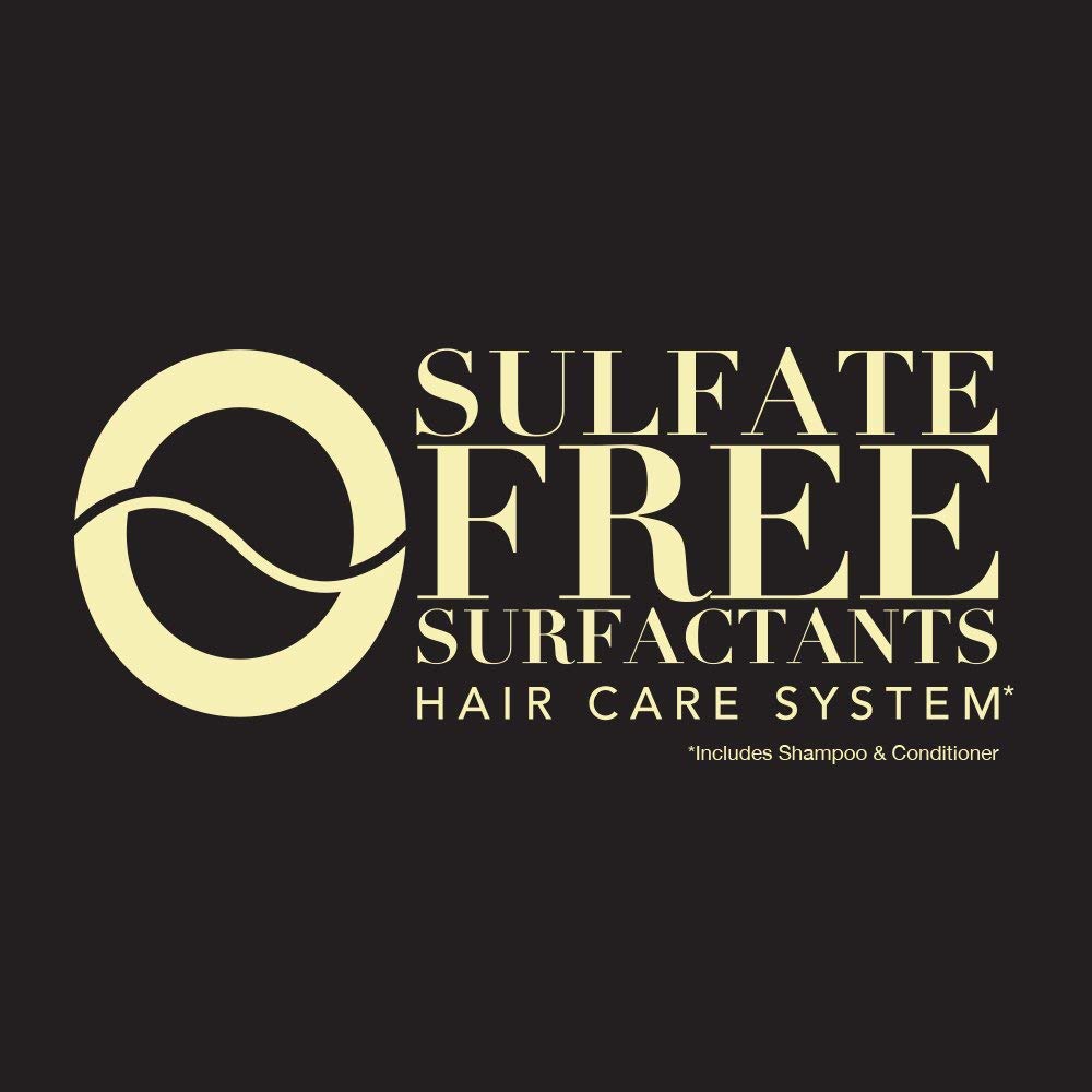 Picture of OGX Hydrate Plus Defrizz Kukui Oil Shampoo 385ml | USA