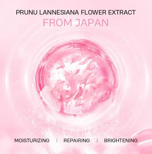 Picture of Laikou Japan Sakura Lip Mask 8g