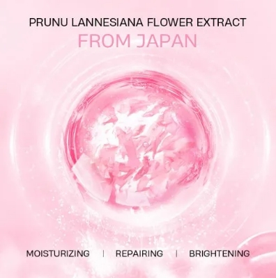 Picture of Laikou Japan Sakura Lip Mask 8g