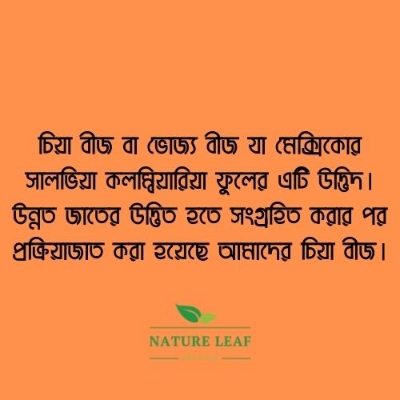 Picture of Nature Leaf - Chia Seed - 200g Jar (Chia Beej)