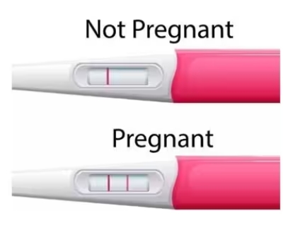 Picture of 1pcs King Test Rapid One Step hCG Midstream Pregnancy Test Kit