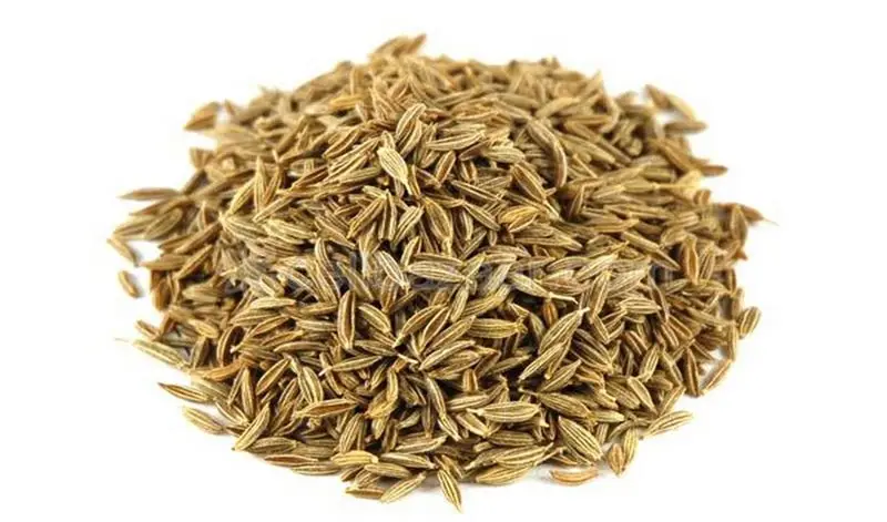 Picture of Nature Leaf - Cumin Seed Whole - 100g Jar (Jira)